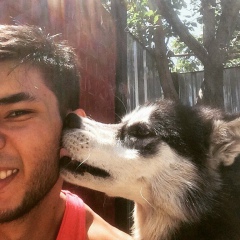 Дилшат Ибраимов, 14.12, Алматы