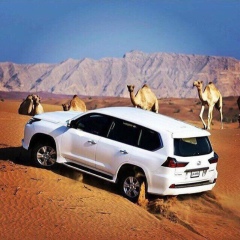 Бағдат Уасов, 09.02.1995, Алматы