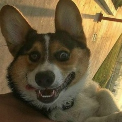 Дмитрий Кулик, 31.03, Барнаул