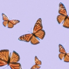 Лейла Аймаханова, 05.12.2004