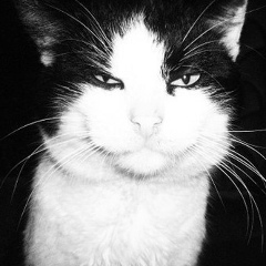 Мат Матрих, 04.10.1985, Южно-Сахалинск