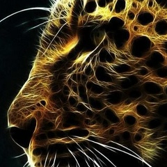 Шамиль Ганаматов, 19.09.2006, Махачкала