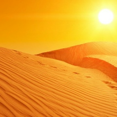 Anwar Gasimow, 20.07, Ташкент