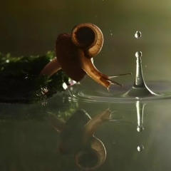 Диана Минемуллина, Казань