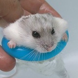 Дмитрий Кутовой, 20.05