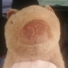 Дмитрий Некрасов, Симферополь