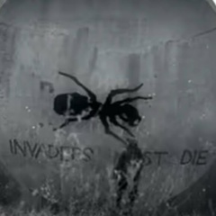 Александр Горбуновски, Казань