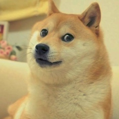 Дина Петухова, 14.02.1988, Киев