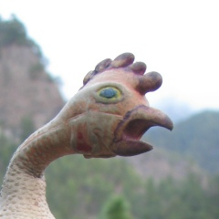 Nilsa Knobikaise, 14.05, Санкт-Петербург