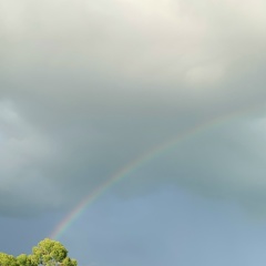 Светлана Ширгина, 29.02