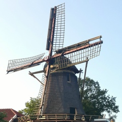 Albina Sibirrrr, Сургут