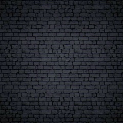 Екатерина Кеда, Санкт-Петербург