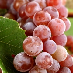 Татьяна , Москва