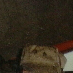 Батыр Турдалиев, 09.11, Шымкент