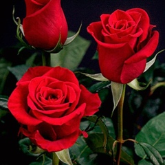 Жазира Тусмагамбетова, 04.08.1991, Актобе