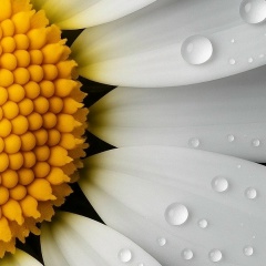 Галина Тишина, Лабытнанги