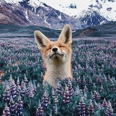 Оля Портнова, 30.07.1989, Москва