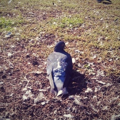 Александр Бражник, 29.07.1984, Москва