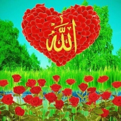 Гулчехра Сейдуллаева