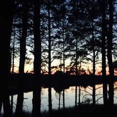 Yurik Mankoffsky, Киев