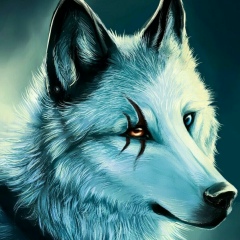 Александр Викторов, 25.06.1985, Вологда