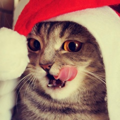 Александр Ширяев, 23.07.1992, Санкт-Петербург