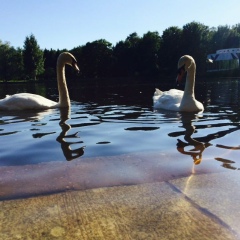 Tolik Abdyrazakov, 30.04.1999, Санкт-Петербург