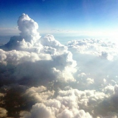 Araks Gyulumyan, 25.10.1993, Ереван