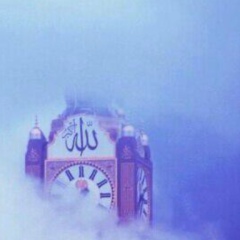 Wolf Wayfarer, 27.09, Нальчик