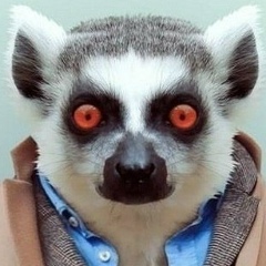 Денис Чижов, Москва