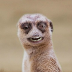 Александр Борисов, 15.08.1981, Нижний Тагил