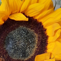 Мария Шиян, 01.09, Санкт-Петербург