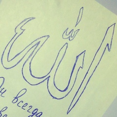 Михаил Зарипов, 28.11, Дубна (поселок)