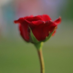 Арайко Камеденова, 30.06.1987, Атырау