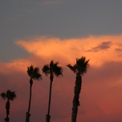 Елена Мюллер, 18.10.1980