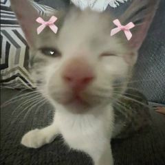 Светлана Иванова, 06.07.1986, Новосибирск