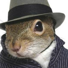 Екатерина Кельн, 13.02.1998, Красноярск