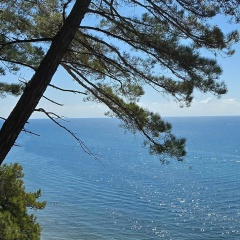 Алексей Герелис, 24.04, Краснодар