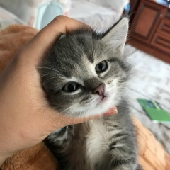 Дина Абдильманова, 19.09.1994