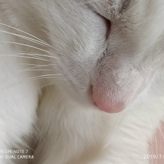 Евгения Резникова, Омск