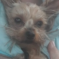 Евгения Купалова, 14.08, Херсон