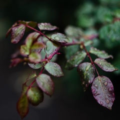 Анастасия Дмитрюк, 29.07