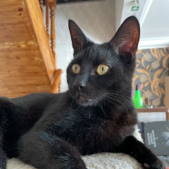 Жанна Чуль, 28.12, Санкт-Петербург