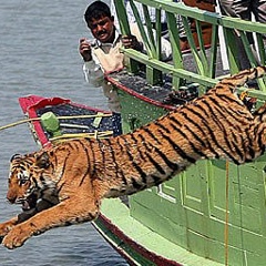Одилжон Вахобов, 08.01.1990, Malé