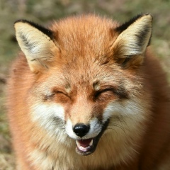 Bruno Kuzzuol, 30.07, Linhares