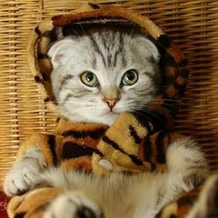 Adam Bullet-De-Sinte, 08.03.1995, Москва