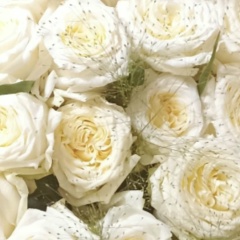 Елена Матросова, 07.11, Краснознаменск