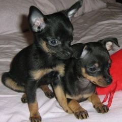 Аня Орлова, 13.02, Санкт-Петербург