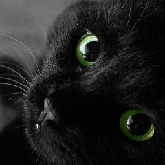 Анна Полякова, 26.07.1984, Челябинск