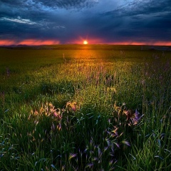 Rəsul Hesenov, Нафталан